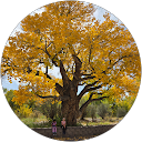 WildFlower Invesments