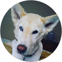 Kristina Hattenhauer (Kristi)