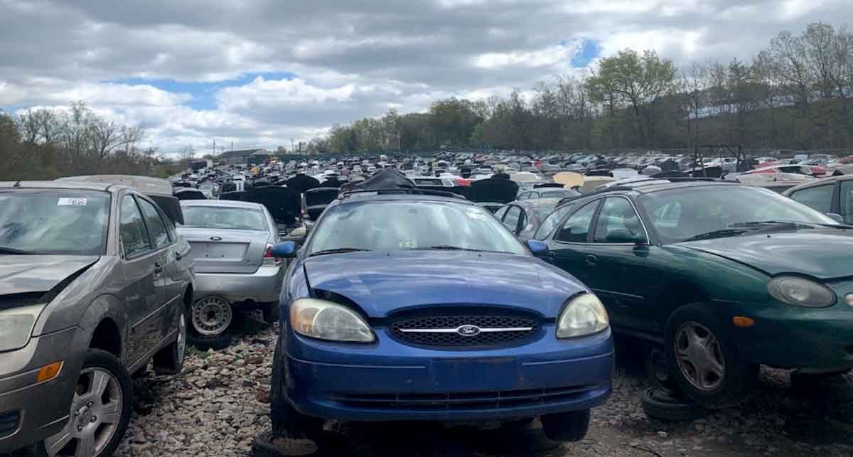 Crazy Ray's Salvage Yard at 1706 Pulaski Hwy, Edgewood, MD 21040