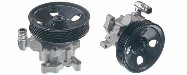 Power Steering Pump or Motor for sale