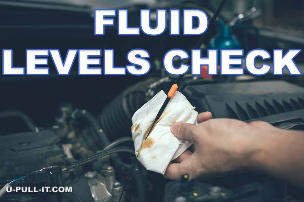 Regular Fluid Checks