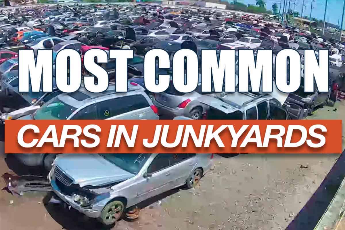 The Most Common Cars found in Salvage yards