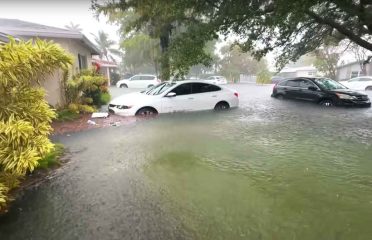Flooded cars in hurricanes