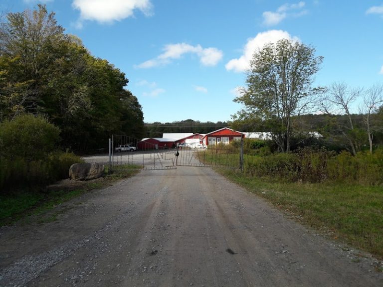 Tolpaaposs Auto Parts at 10729 French Rd Remsen NY 13438 1 1 768x576