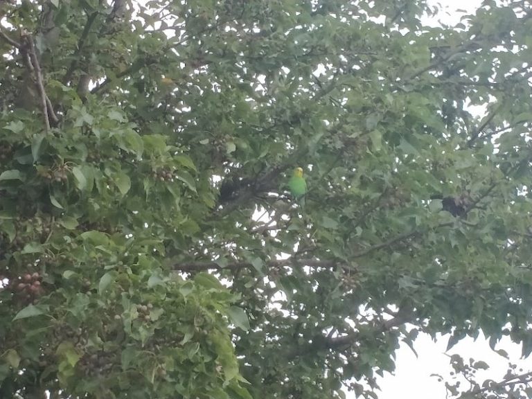 Tri County Core at 518 Dock St Millville NJ 08332 768x576